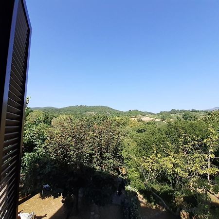 Villa Le Palmine Palazzone 外观 照片