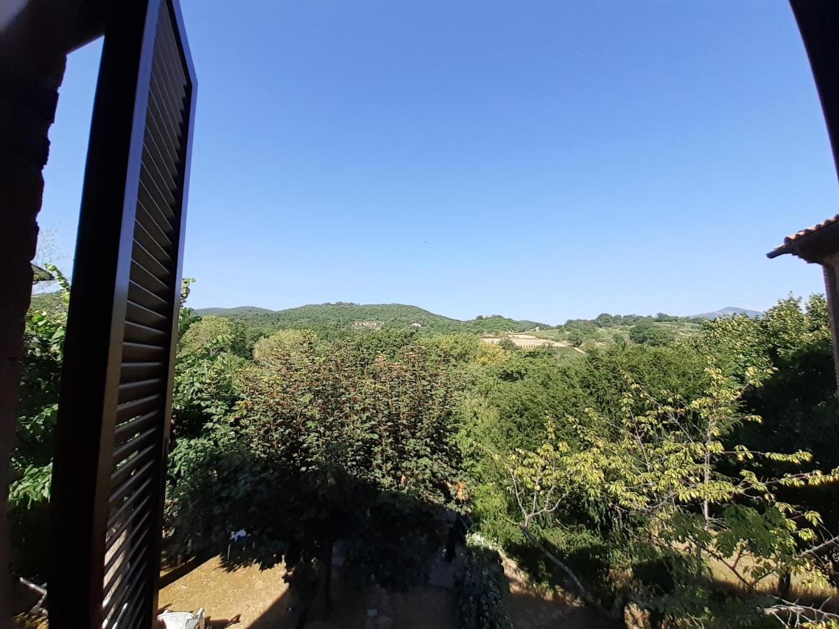 Villa Le Palmine Palazzone 外观 照片