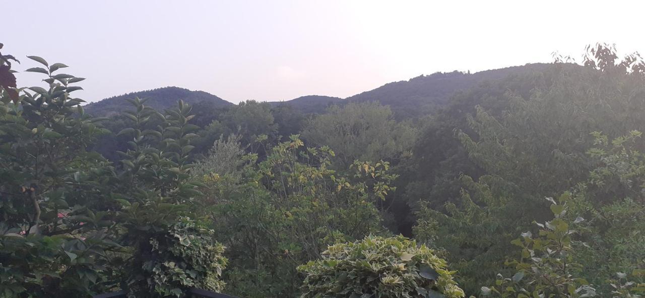 Villa Le Palmine Palazzone 外观 照片