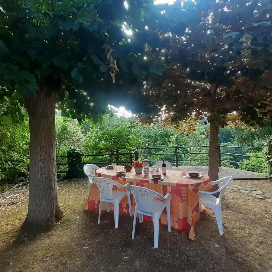 Villa Le Palmine Palazzone 外观 照片