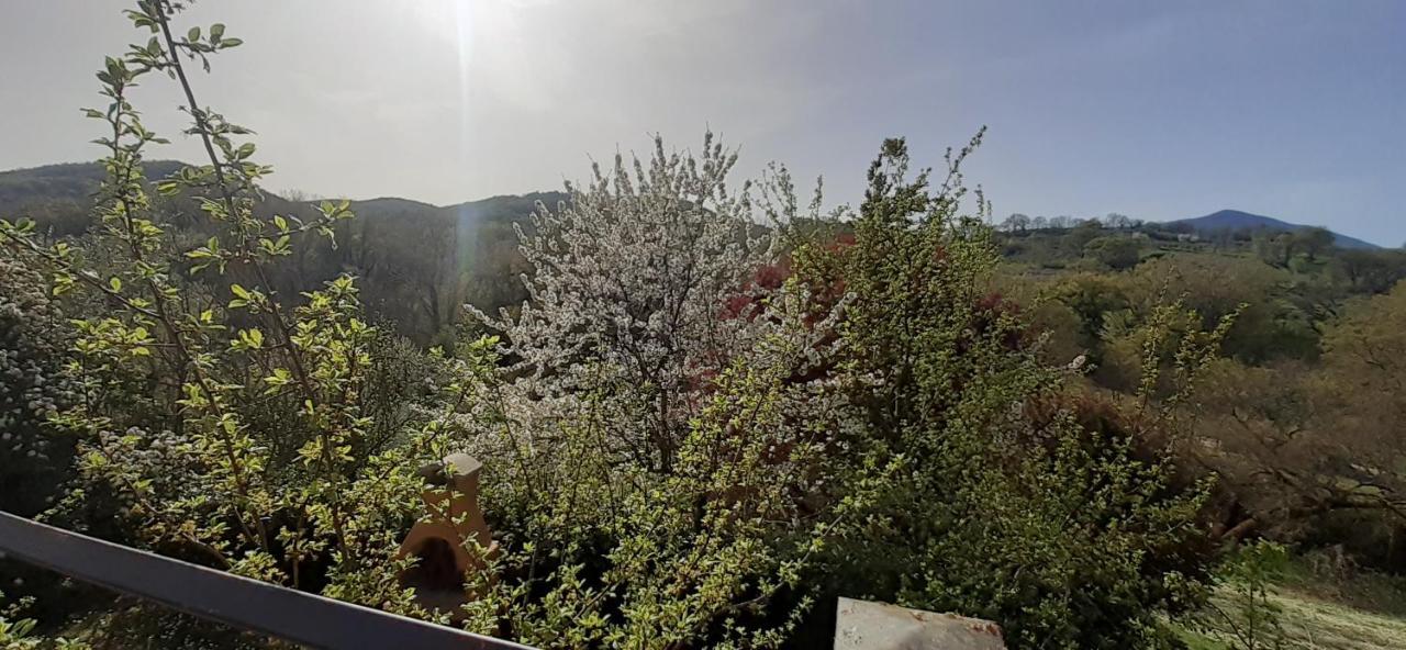 Villa Le Palmine Palazzone 外观 照片
